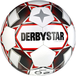 10er Ballpaket DERBYSTAR Long Life TT Trainingsfußball inkl. Ballsack Gr. 5