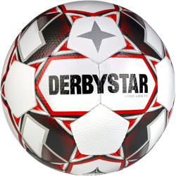 10er Ballpaket DERBYSTAR Long Life TT Trainingsfußball inkl. Ballsack Gr. 5