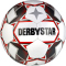 10er Ballpaket DERBYSTAR Long Life TT Trainingsfußball inkl. Ballsack Gr. 5