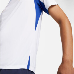 NIKE Frankreich Strike Dri-FIT kurzarm Fußball-Fanshirt Herren