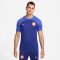NIKE Niederlande Strike Dri-FIT kurzarm Fußball-Fanshirt Herren