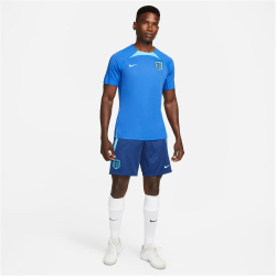 NIKE England Strike Dri-FIT Knit Fu&szlig;ballshorts Herren