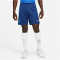 NIKE England Strike Dri-FIT Knit Fußballshorts Herren