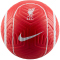 NIKE FC Liverpool Strike Fußball