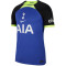 NIKE Tottenham Hotspur 2022/23 Stadium Auswärts Dri-FIT Fußballtrikot Herren
