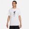 NIKE FC Liverpool Fußball T-Shirt Herren