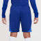 NIKE Niederlande Strike Dri-FIT Knit Fußballshorts Kinder
