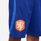 NIKE Niederlande Strike Dri-FIT Knit Fußballshorts Kinder