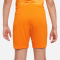 NIKE Niederlande 2022/23 Dri-FIT Stadium Heim Fußballshorts Kinder