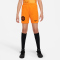 NIKE Niederlande 2022/23 Dri-FIT Stadium Heim Fußballshorts Kinder
