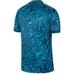 NIKE Tottenham Hotspur 2022/23 Dri-FIT Stadium Ausweich...