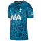 NIKE Tottenham Hotspur 2022/23 Dri-FIT Stadium Ausweich Fußballtrikot Herren