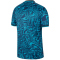 NIKE Tottenham Hotspur 2022/23 Dri-FIT Stadium Ausweich Fußballtrikot Herren