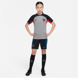 NIKE FC Barcelona Strike Dri-FIT Knit Fu&szlig;ballshorts...