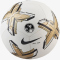 NIKE Premier LeAGue Pitch Fußball
