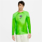 NIKE Paris Saint-Germain 2022/23 Stadium Torwart Heim Dri-FIT Fußballtrikot Herren