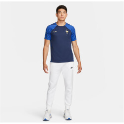 NIKE Frankreich Strike Dri-FIT kurzarm Fußball-Fanshirt Herren 410 - midnight navy/game royal/metallic gold XL