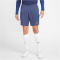NIKE Frankreich Strike Dri-FIT Knit Fu&szlig;ballshorts Herren 412 - midnight navy/game royal/metallic gold S