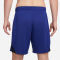 NIKE Niederlande 2022/23 Stadium Ausw&auml;rts Dri-FIT Fu&szlig;ballshorts Herren 455 - deep royal blue/black/habanero red S