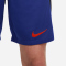 NIKE Niederlande 2022/23 Stadium Ausw&auml;rts Dri-FIT Fu&szlig;ballshorts Herren 455 - deep royal blue/black/habanero red S