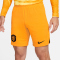 NIKE Niederlande 2022/23 Stadium Heim Dri-FIT Fußballshorts Herren 833 - orange peel/black S