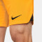 NIKE Niederlande 2022/23 Stadium Heim Dri-FIT Fußballshorts Herren 833 - orange peel/black S