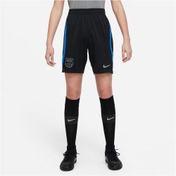 NIKE FC Barcelona Strike Dri-FIT Knit Fußballshorts...