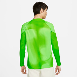 NIKE Paris Saint-Germain 2022/23 Stadium Torwart Heim Dri-FIT Fu&szlig;balltrikot Herren 399 - green strike/green strike/black XXL