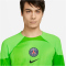 NIKE Paris Saint-Germain 2022/23 Stadium Torwart Heim Dri-FIT Fu&szlig;balltrikot Herren 399 - green strike/green strike/black XXL