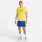 NIKE Pro Dri-FIT Graphic T-Shirt Herren