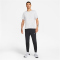 NIKE Dri-FIT Run Division kurzarm Laufshirt Herren 051 - birch heather/reflective silv M