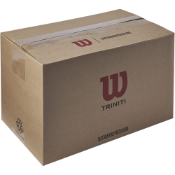 72er Pack Wilson Triniti Club Tennisbälle