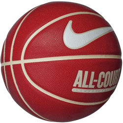 NIKE Everyday All Court 8P Indoor/Outdoor Basketball 625...