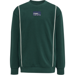 hummel hmlDITMER Sweatshirt Jungen