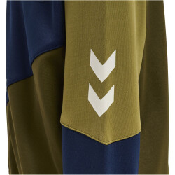 hummel hmlRANE Zipjacke Jungen