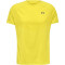 newline nwlLAKELAND Laufshirt Herren