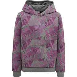 hummel hmlSPACE JAM Cuatro Hoodie Kinder