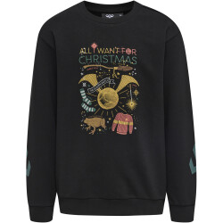 hummel hmlHARRY POTTER DOS Sweatshirt Kinder