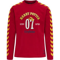 hummel hmlHARRY POTTER NOLEN Schlafanzug Kinder