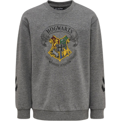 hummel hmlHARRY POTTER SPRING Trainingsanzug Kinder