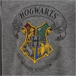 hummel hmlHARRY POTTER SPRING Trainingsanzug Kinder