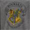 hummel hmlHARRY POTTER SPRING Trainingsanzug Kinder