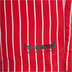 hummel hmlGC GRANT Board Badeshorts Herren