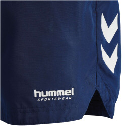 hummel hmlGC NED Badeshorts Herren