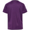 hummel Challenger Trikot Kinder 3822 - crown jewel 116