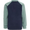 hummel hmlSPORTIVE Baby-Sweatshirt 1009 - black iris 56