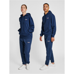 hummel hmlGC AUSTIN Hoodie 7459 - dress blues XXL