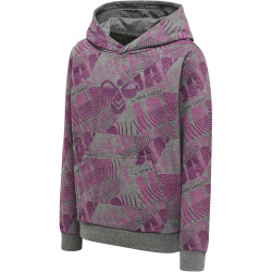 hummel hmlSPACE JAM Cuatro Hoodie Kinder 4758 - amaranth 104