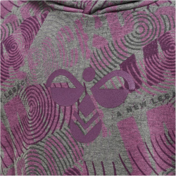 hummel hmlSPACE JAM Cuatro Hoodie Kinder 4758 - amaranth 104