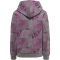 hummel hmlSPACE JAM Cuatro Hoodie Kinder 4758 - amaranth 104